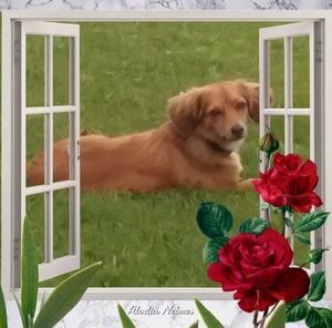 Meet your Posher, Brenda